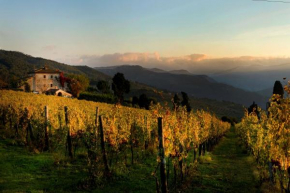 Agriturismo Fattoria Lavacchio
